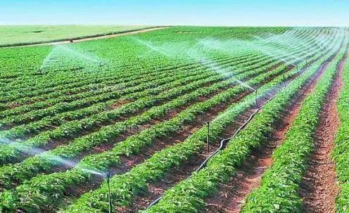 嗯~好多水~嗯~射进去吧~明星农田高 效节水灌溉